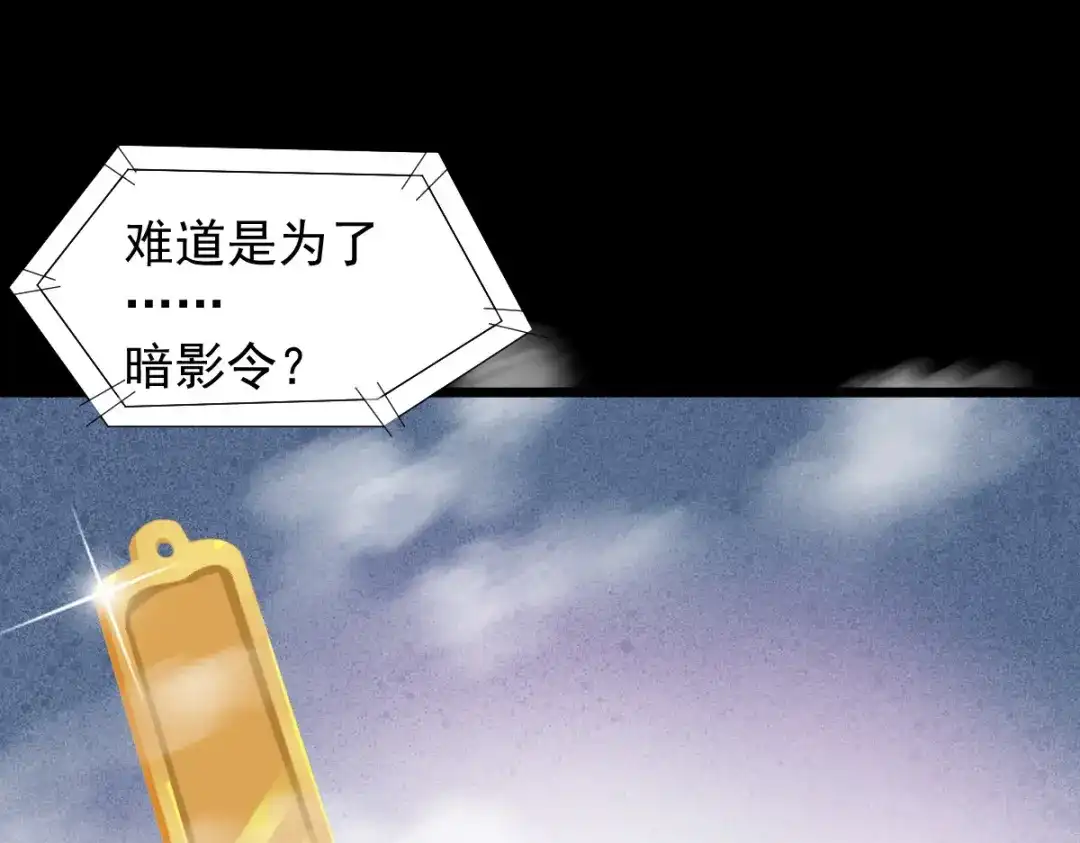 《杀手王妃不好惹》16-面具人 第67页