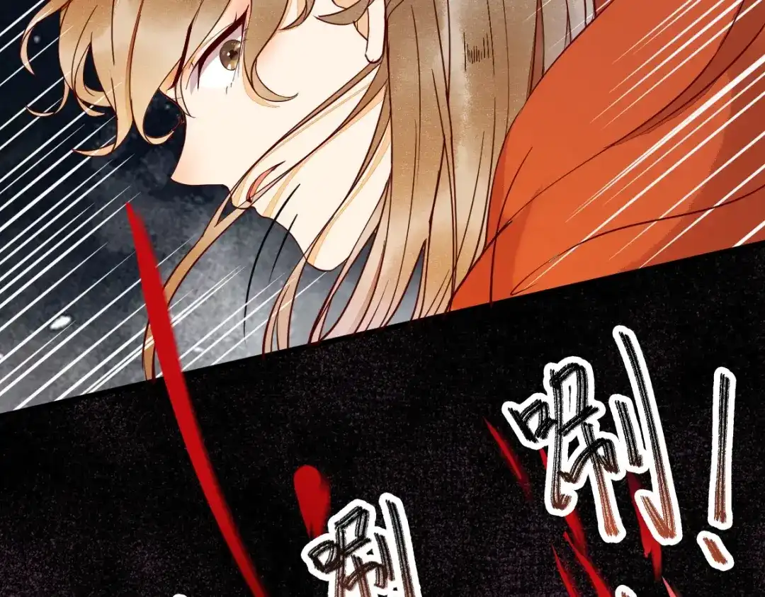 《杀手王妃不好惹》16-面具人 第42页