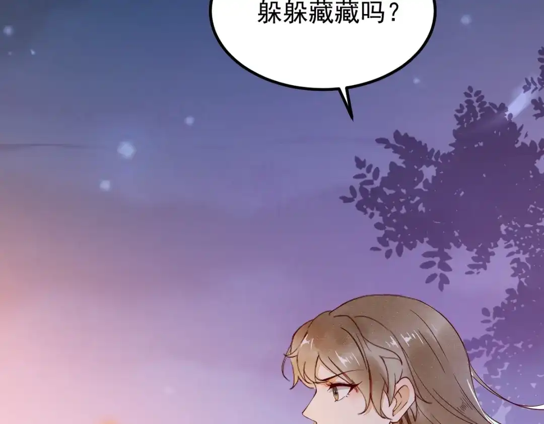 《杀手王妃不好惹》16-面具人 第28页