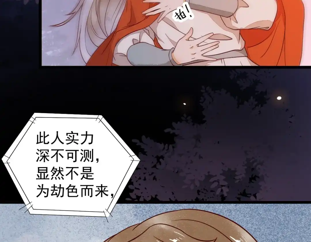 《杀手王妃不好惹》16-面具人 第64页