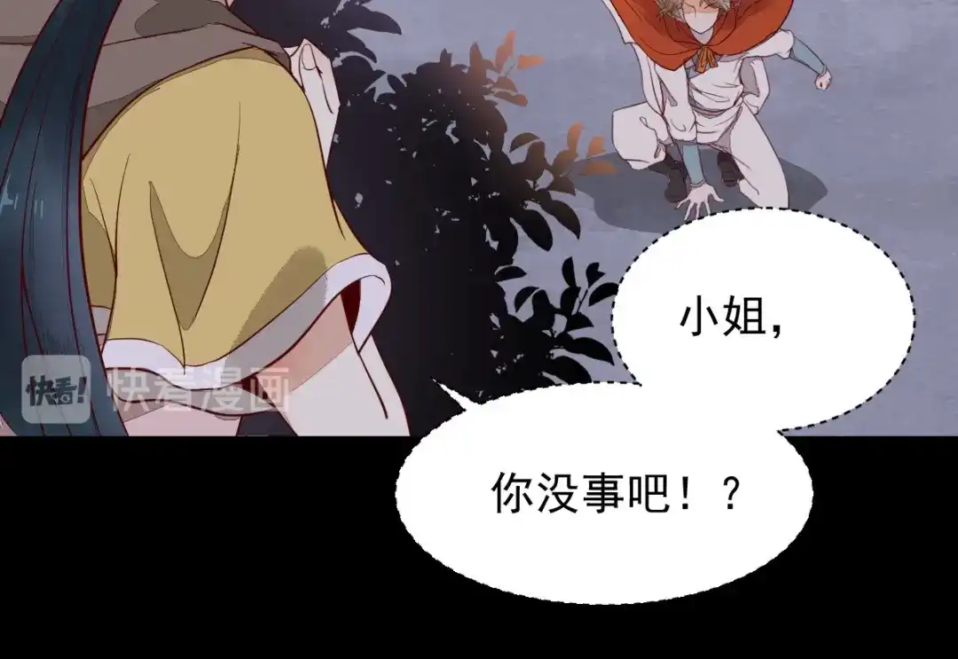《杀手王妃不好惹》16-面具人 第75页