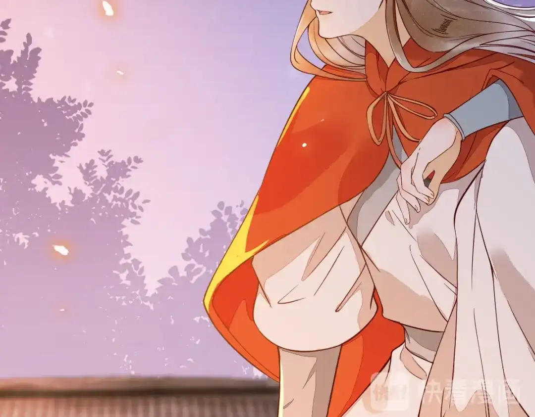 《杀手王妃不好惹》16-面具人 第29页