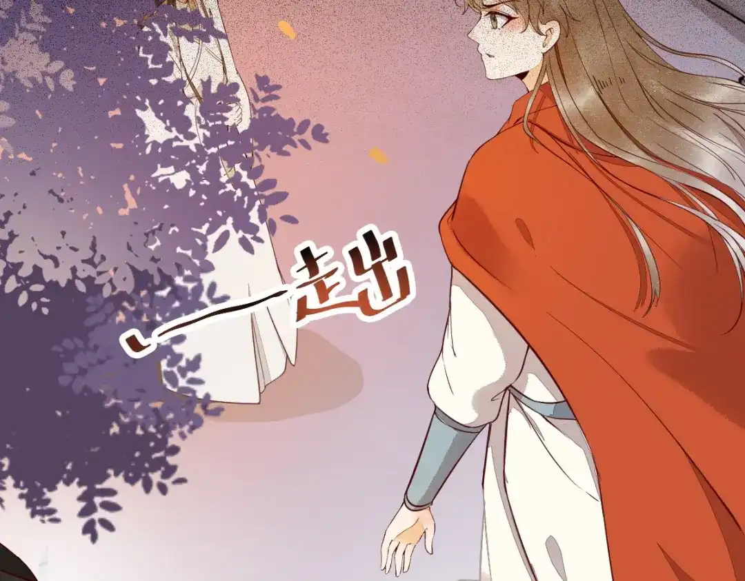 《杀手王妃不好惹》16-面具人 第45页