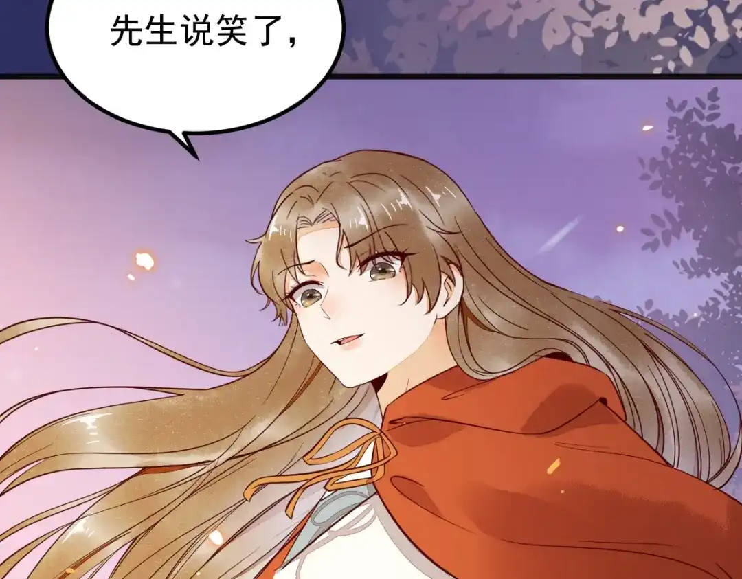 《杀手王妃不好惹》16-面具人 第49页