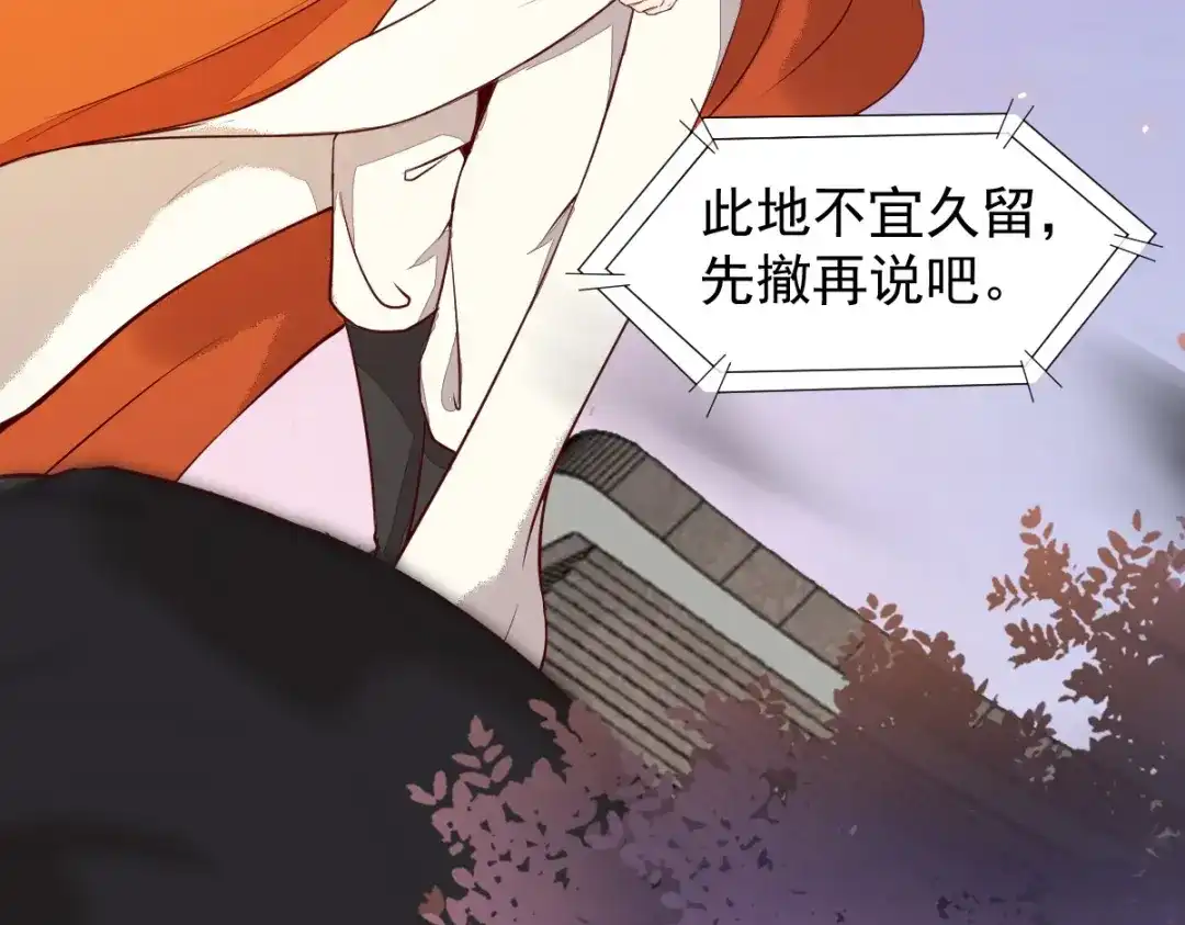 《杀手王妃不好惹》16-面具人 第71页