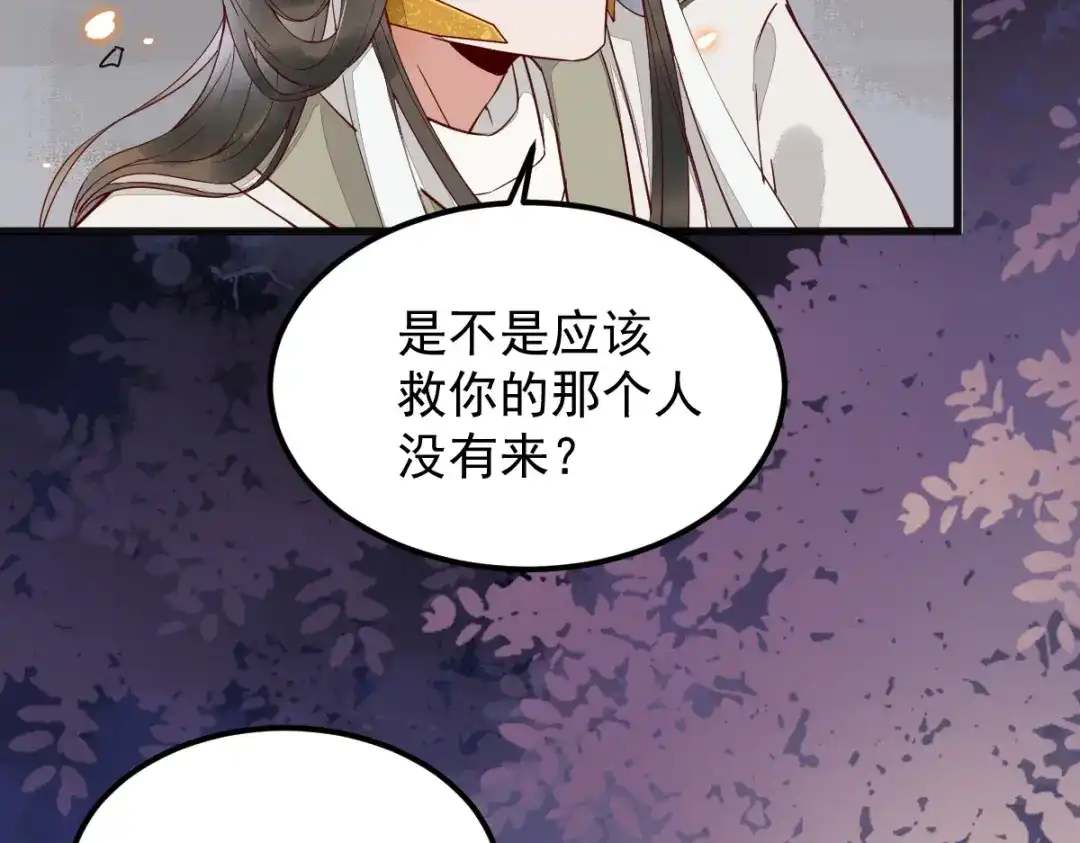 《杀手王妃不好惹》16-面具人 第48页