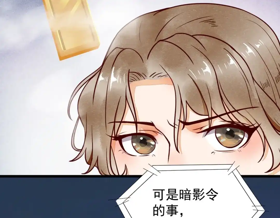 《杀手王妃不好惹》16-面具人 第68页