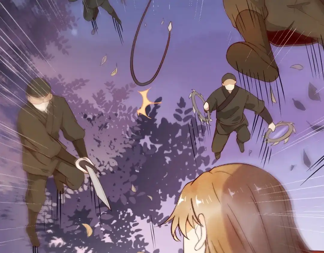 《杀手王妃不好惹》16-面具人 第33页