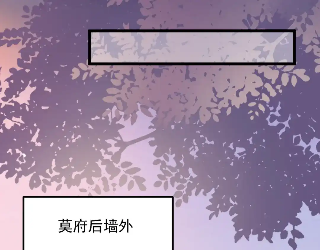 《杀手王妃不好惹》16-面具人 第73页