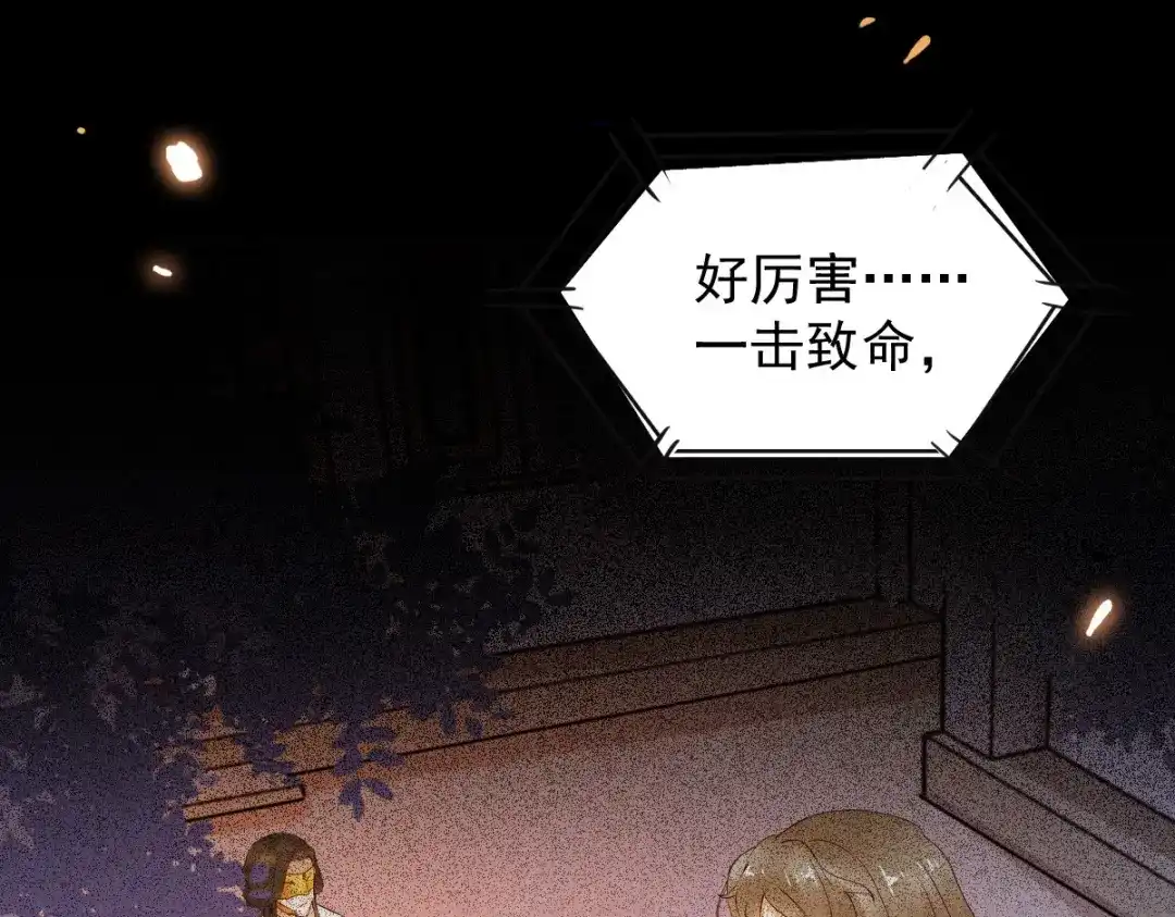 《杀手王妃不好惹》16-面具人 第44页