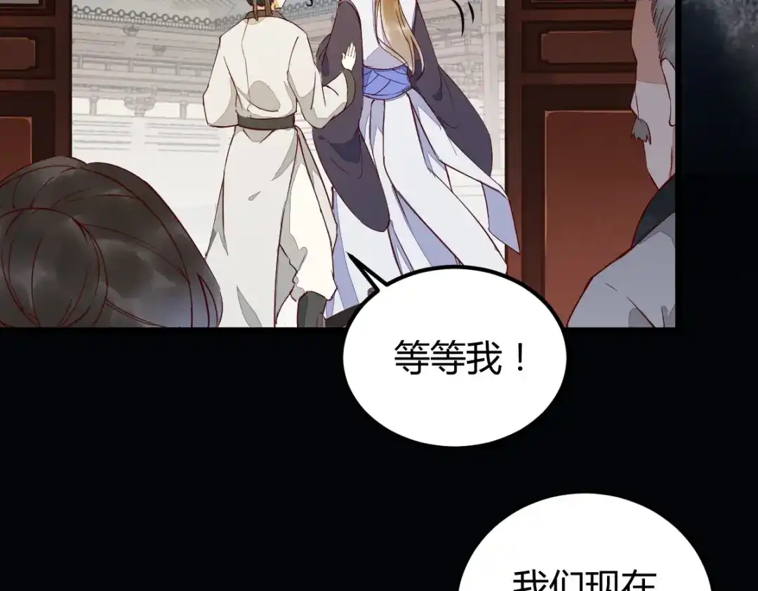 《杀手王妃不好惹》18-中计 第46页