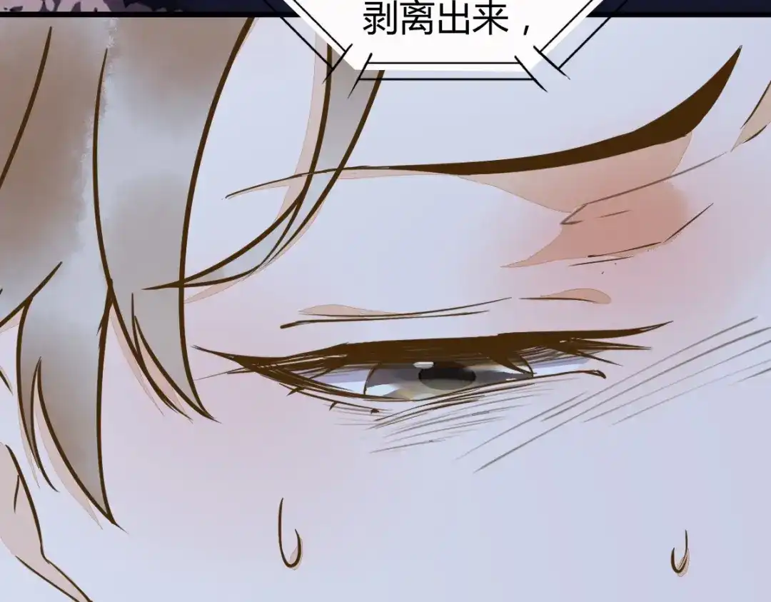 《杀手王妃不好惹》18-中计 第92页