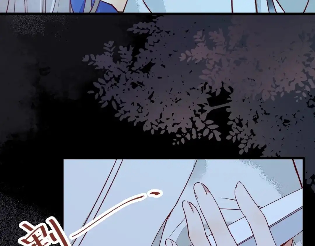 《杀手王妃不好惹》19-他是谁？ 第29页