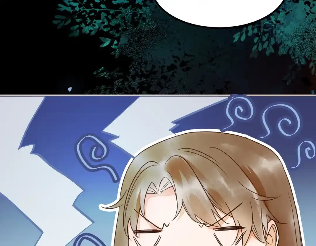 《杀手王妃不好惹》20-苏醒 第96页
