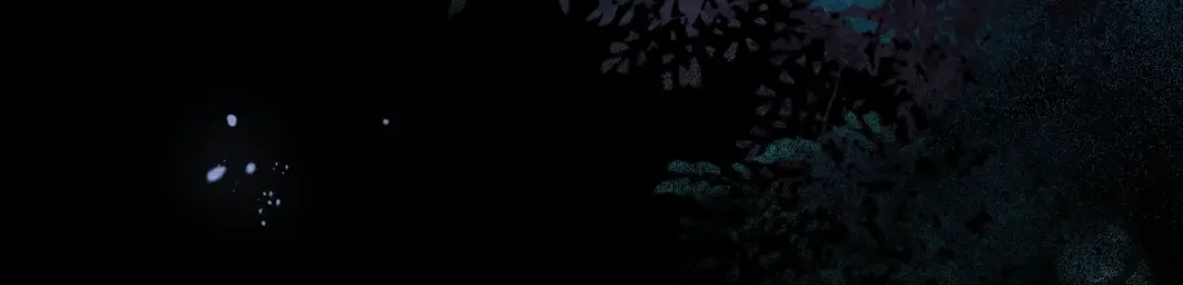 《杀手王妃不好惹》20-苏醒 第31页