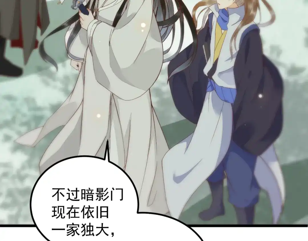 《杀手王妃不好惹》22-暗影门 第33页