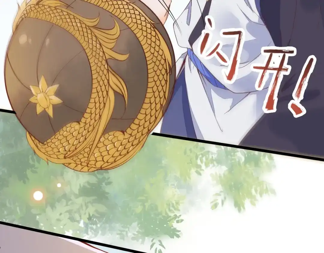 《杀手王妃不好惹》24-暗算 第12页