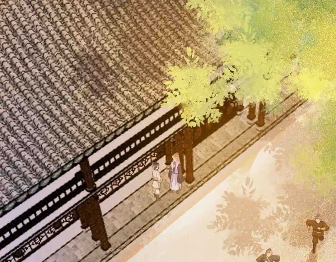 《杀手王妃不好惹》25-过去的影子 第73页