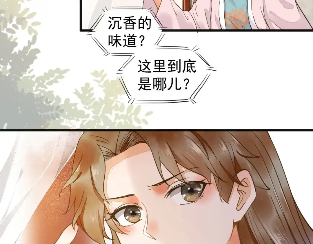 《杀手王妃不好惹》03-你有何企图？ 第96页