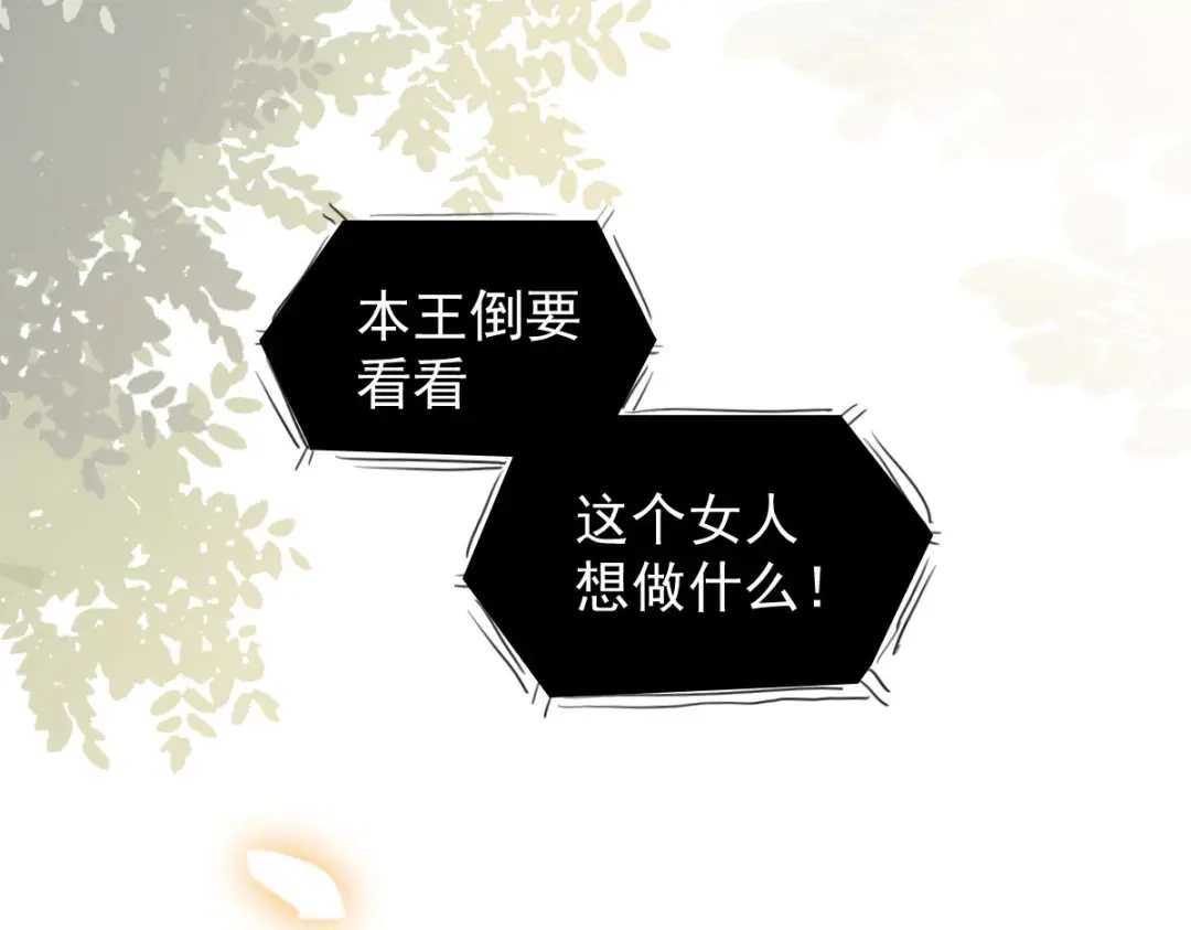 《杀手王妃不好惹》03-你有何企图？ 第35页