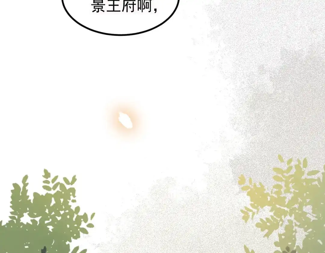 《杀手王妃不好惹》03-你有何企图？ 第6页