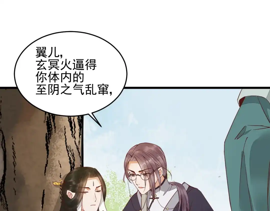 《杀手王妃不好惹》29-药石罔效 第80页