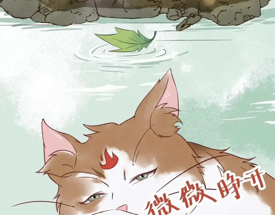 《杀手王妃不好惹》29-药石罔效 第96页