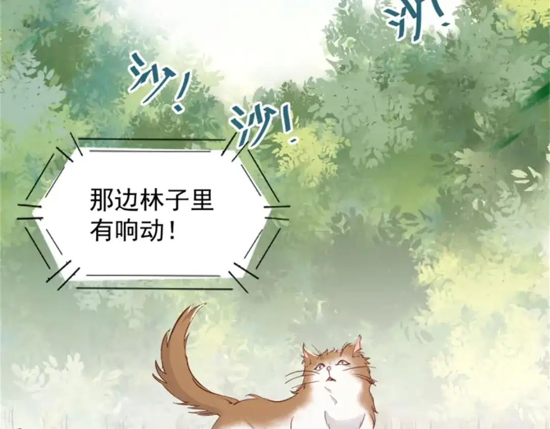 《杀手王妃不好惹》30-喵？？ 第89页