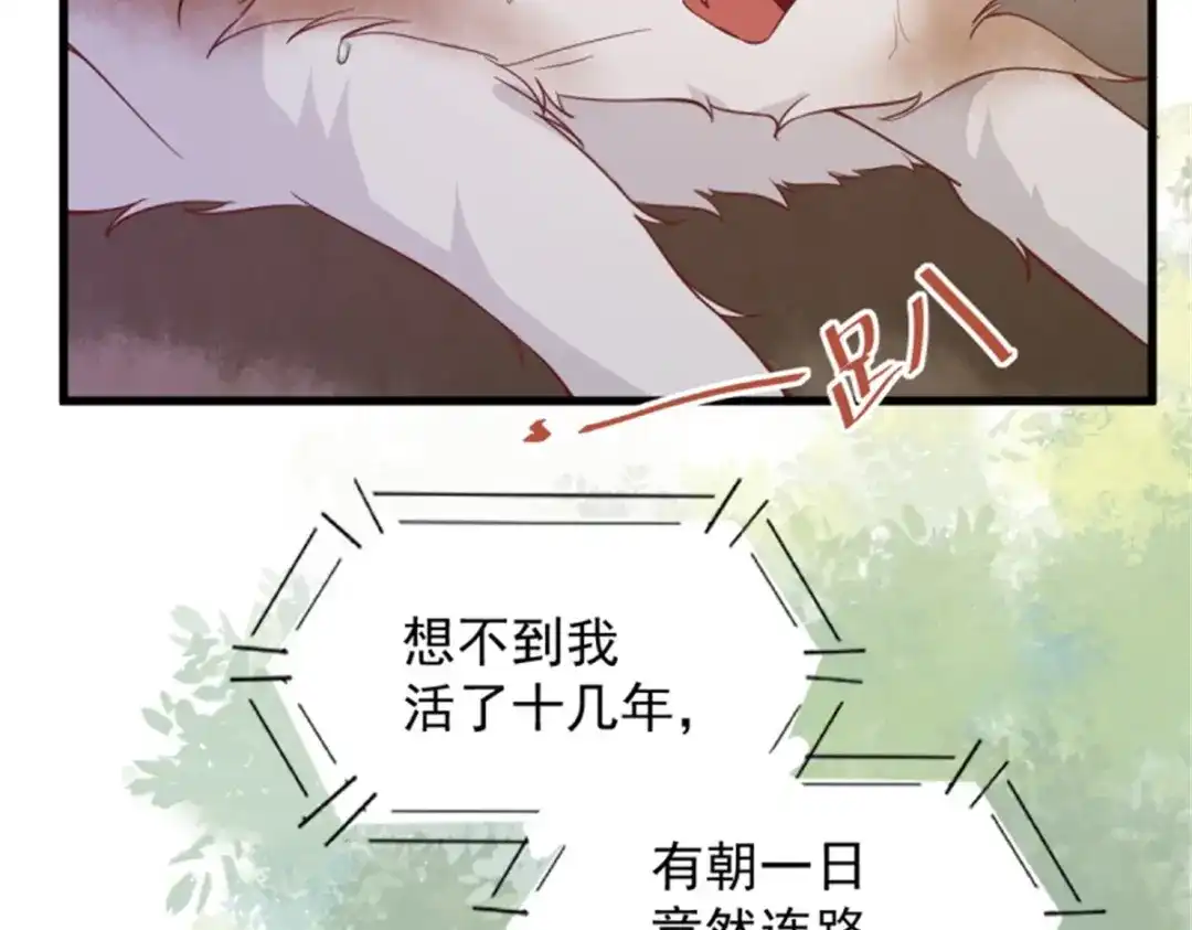 《杀手王妃不好惹》30-喵？？ 第73页