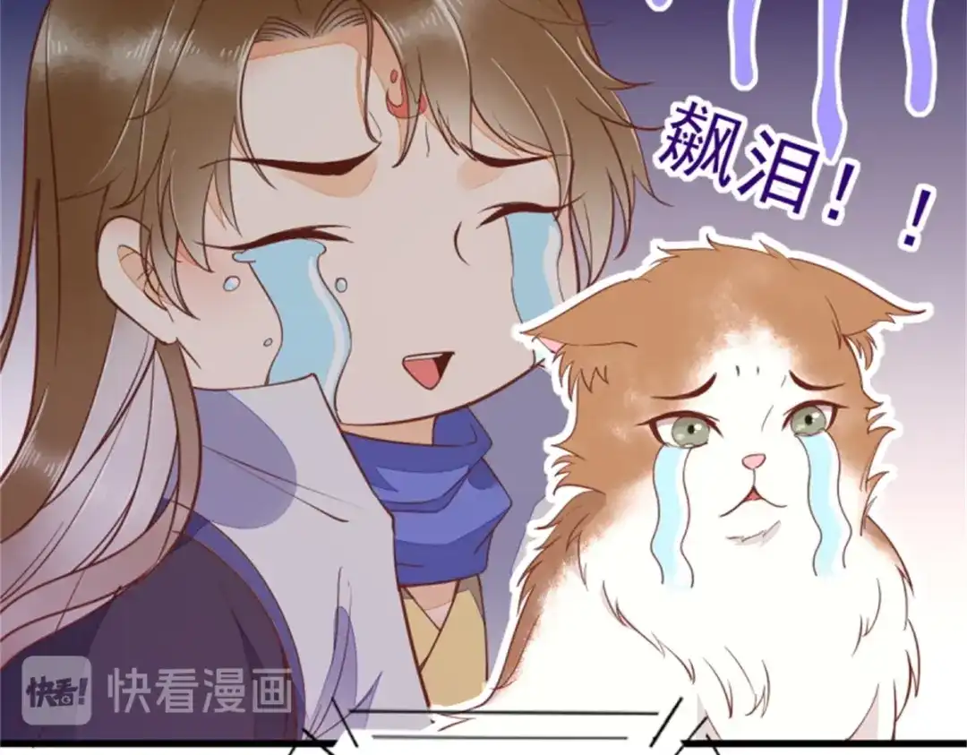 《杀手王妃不好惹》30-喵？？ 第78页