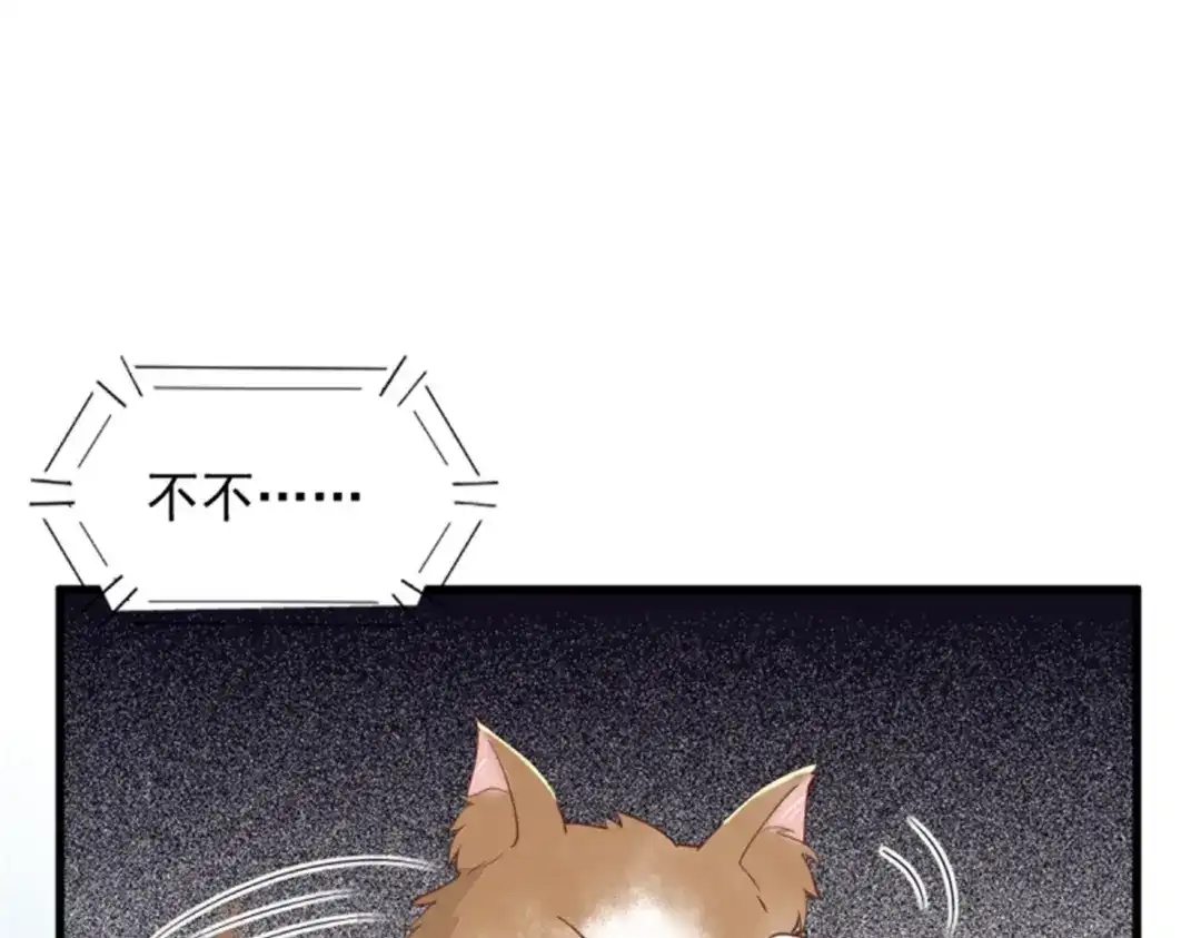 《杀手王妃不好惹》30-喵？？ 第80页