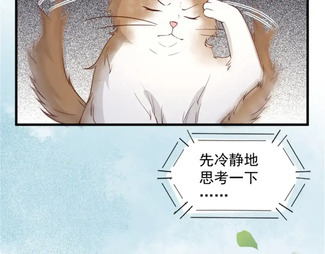 《杀手王妃不好惹》30-喵？？ 第81页
