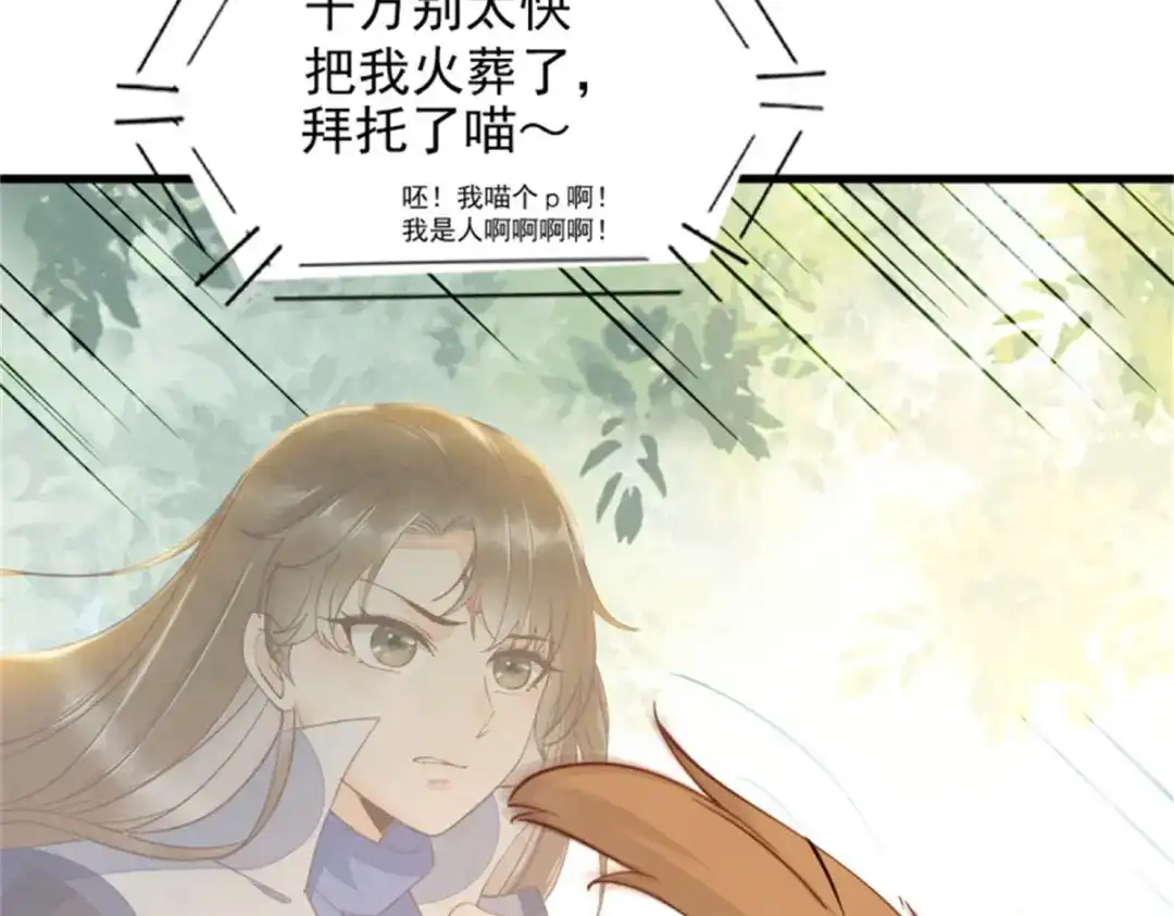 《杀手王妃不好惹》30-喵？？ 第86页