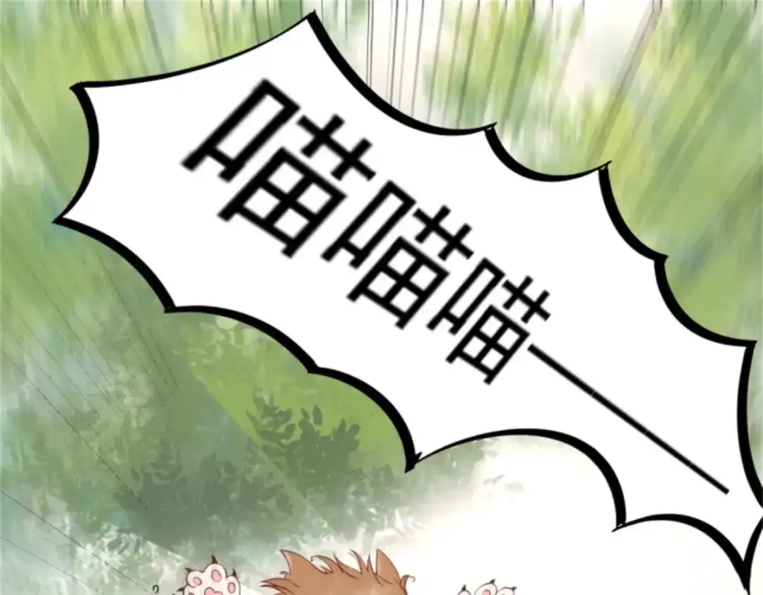 《杀手王妃不好惹》30-喵？？ 第69页