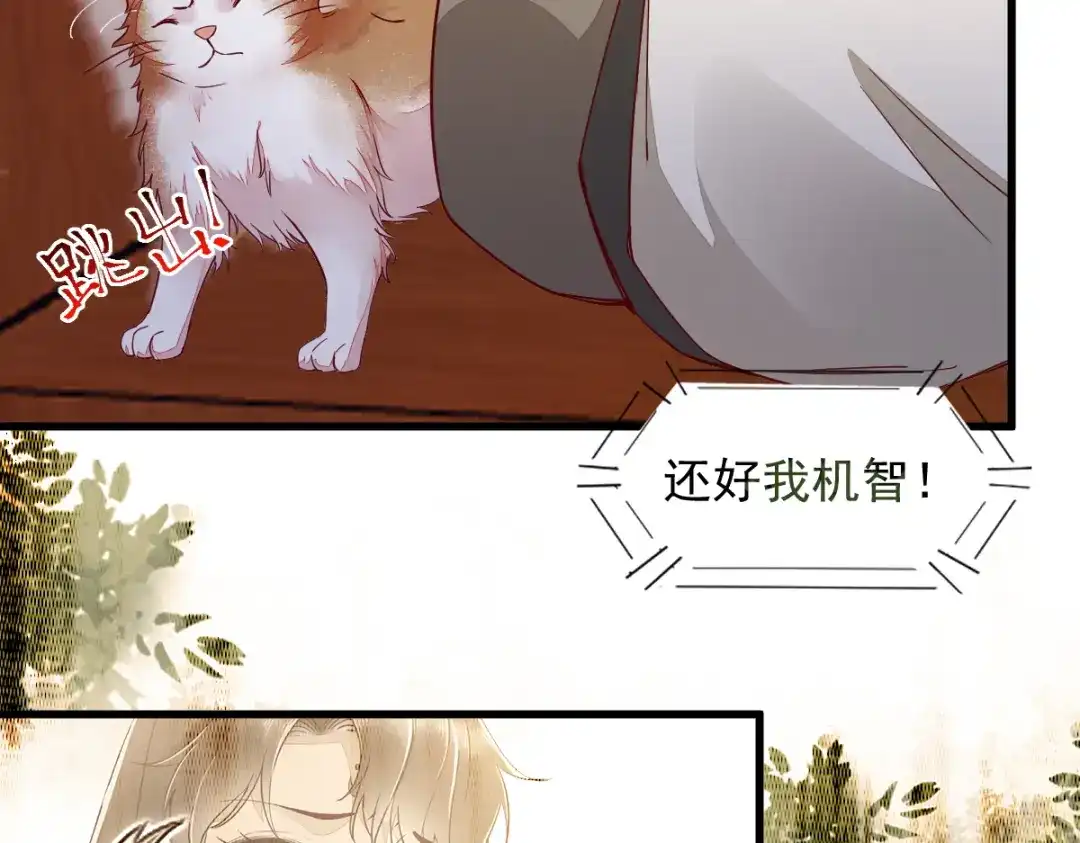 《杀手王妃不好惹》31-情深 第30页
