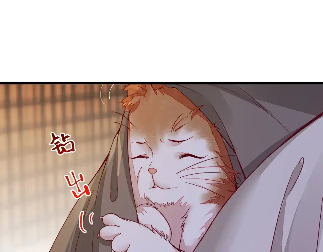 《杀手王妃不好惹》31-情深 第27页