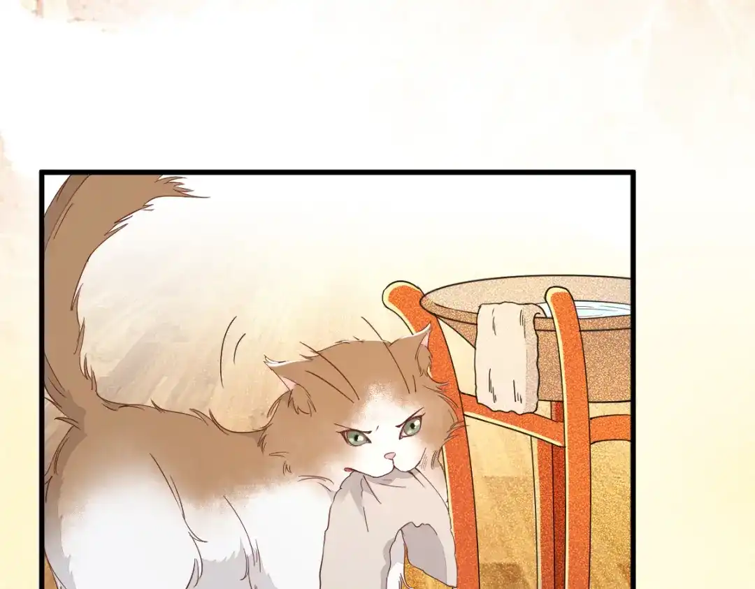 《杀手王妃不好惹》32-喵仙人？ 第51页