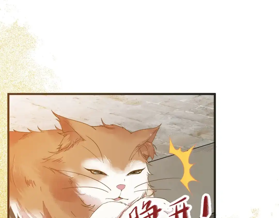 《杀手王妃不好惹》32-喵仙人？ 第6页
