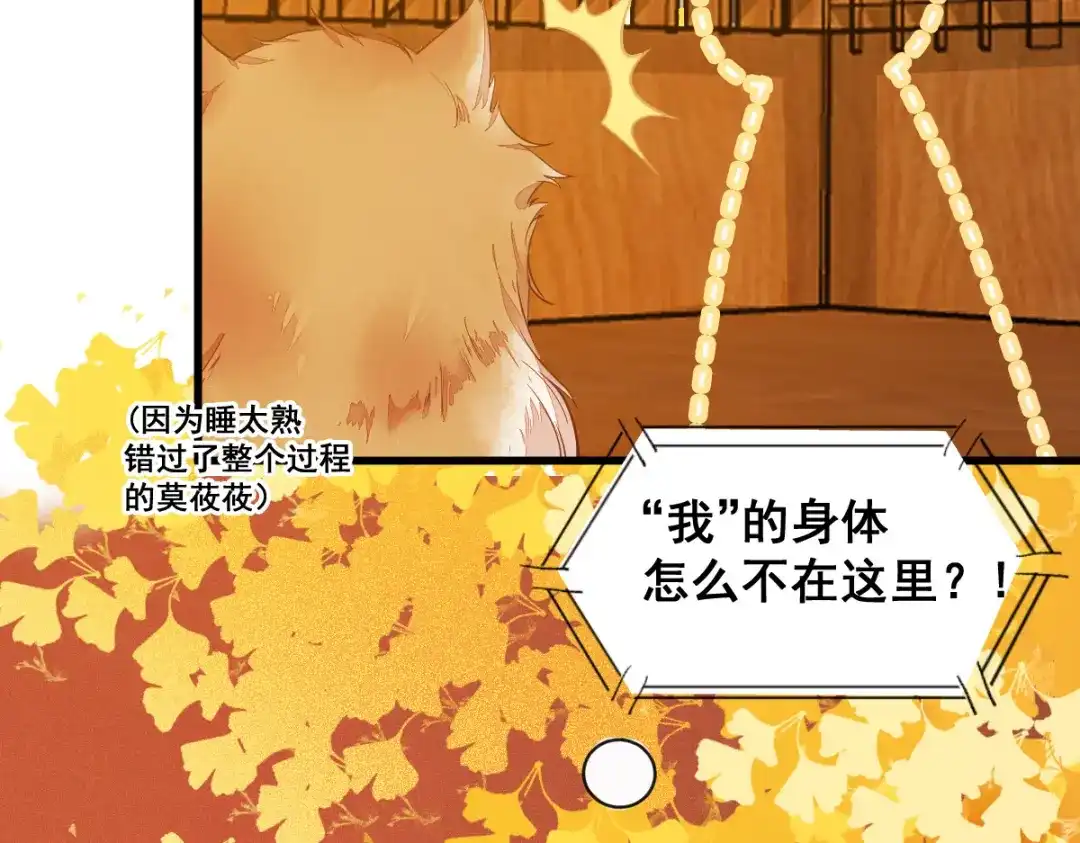 《杀手王妃不好惹》32-喵仙人？ 第23页