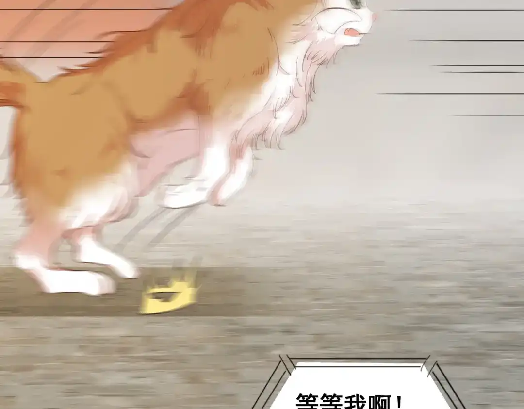 《杀手王妃不好惹》32-喵仙人？ 第27页