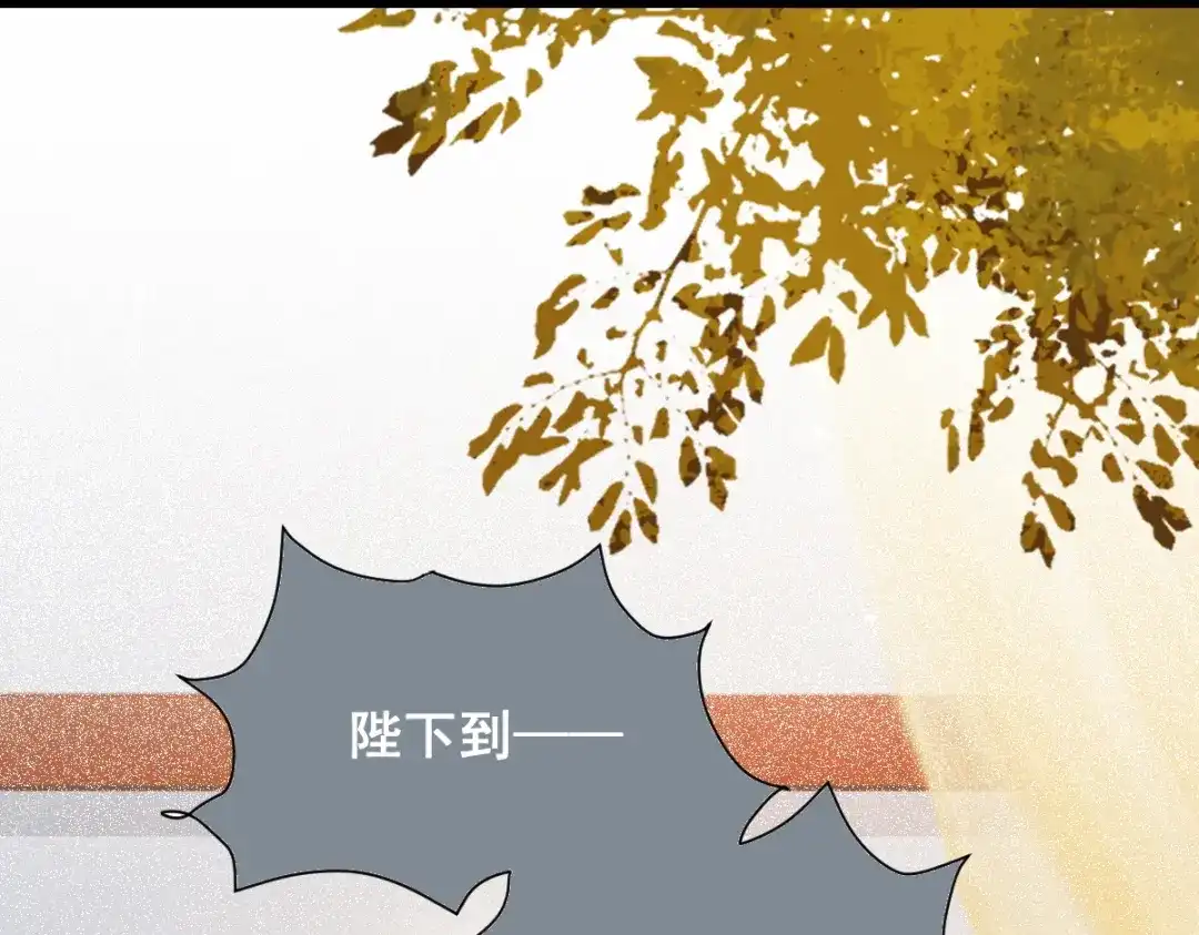 《杀手王妃不好惹》32-喵仙人？ 第66页