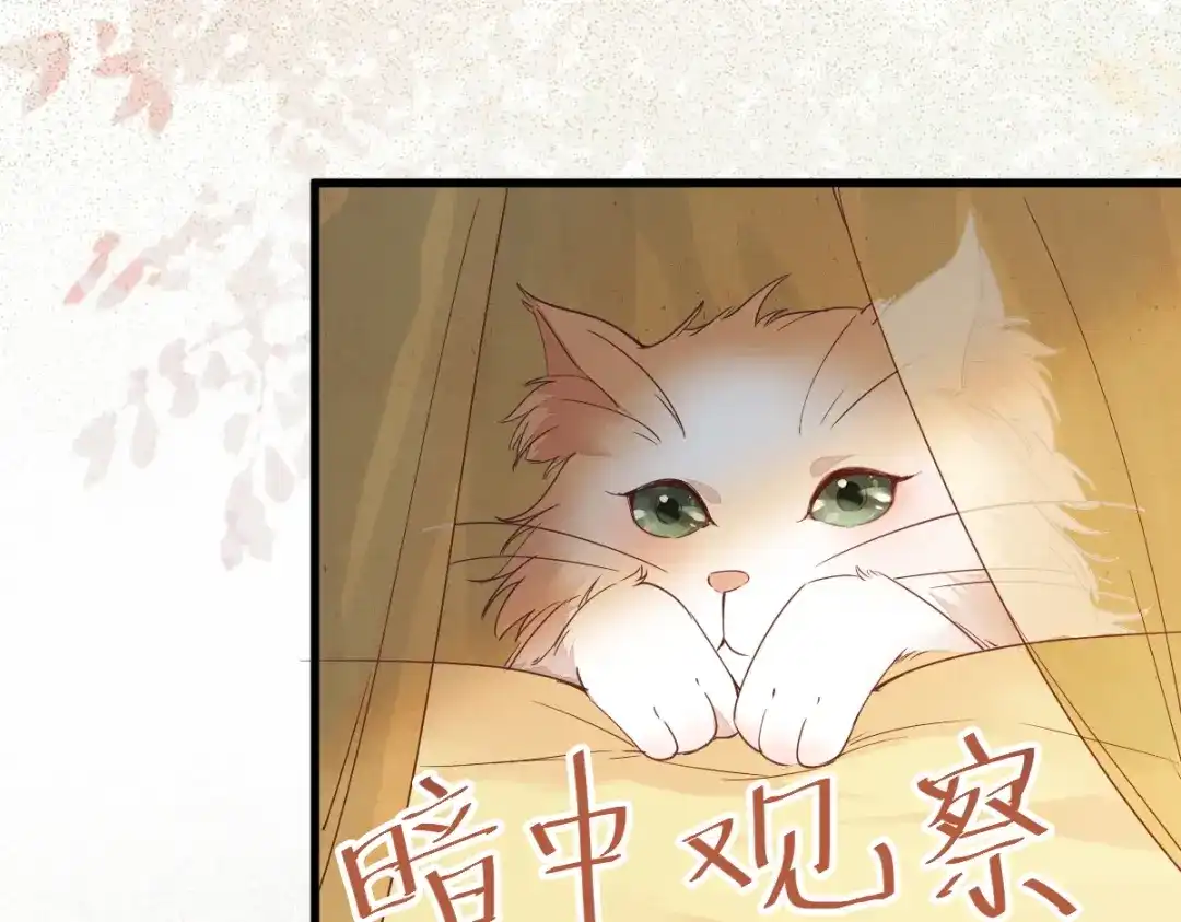 《杀手王妃不好惹》32-喵仙人？ 第72页