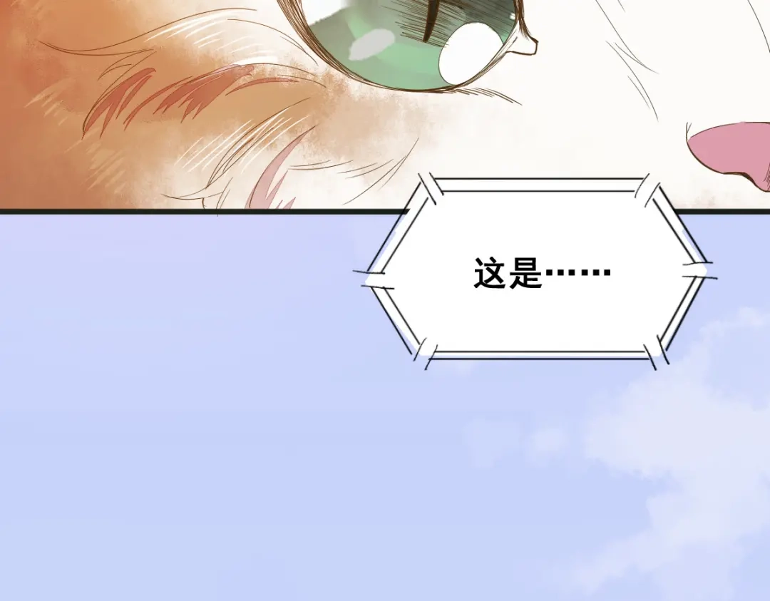 《杀手王妃不好惹》32-喵仙人？ 第8页