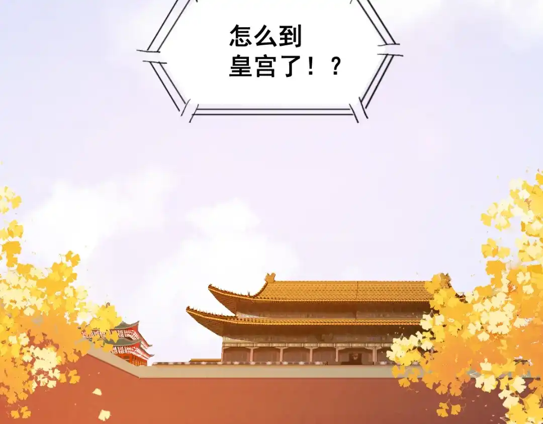 《杀手王妃不好惹》32-喵仙人？ 第10页