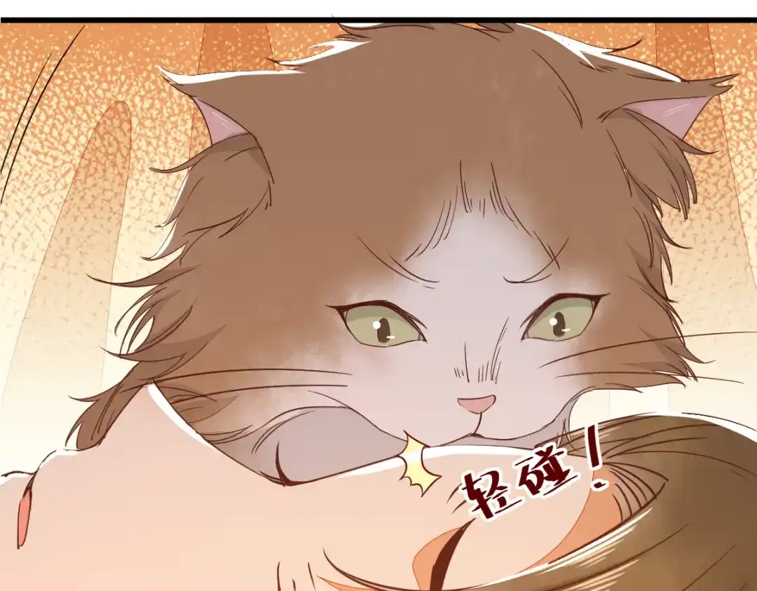 《杀手王妃不好惹》32-喵仙人？ 第49页