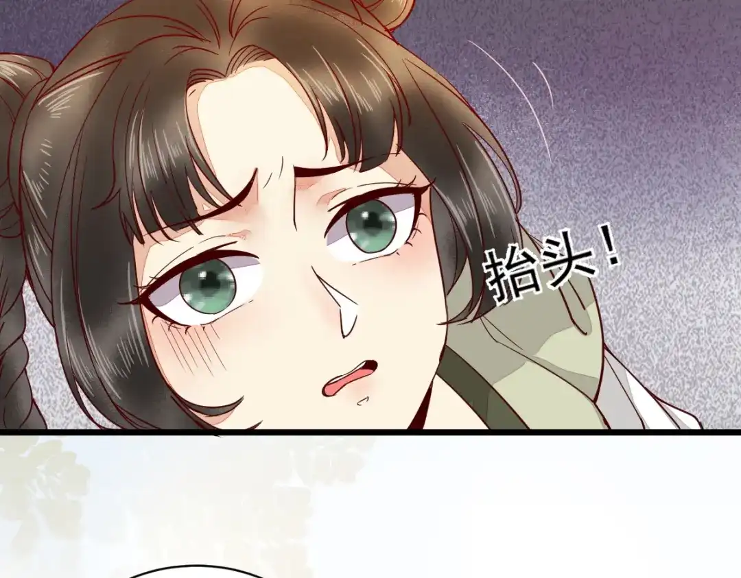 《杀手王妃不好惹》33-护驾 第24页