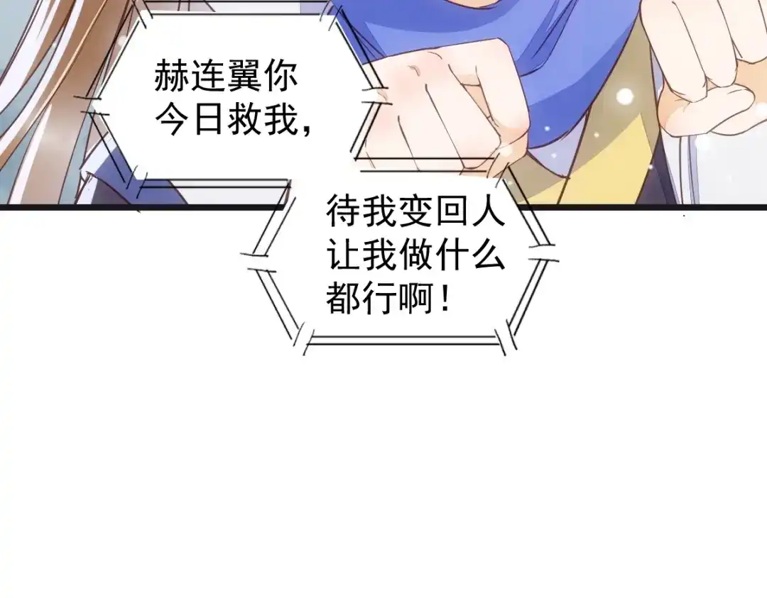 《杀手王妃不好惹》33-护驾 第73页