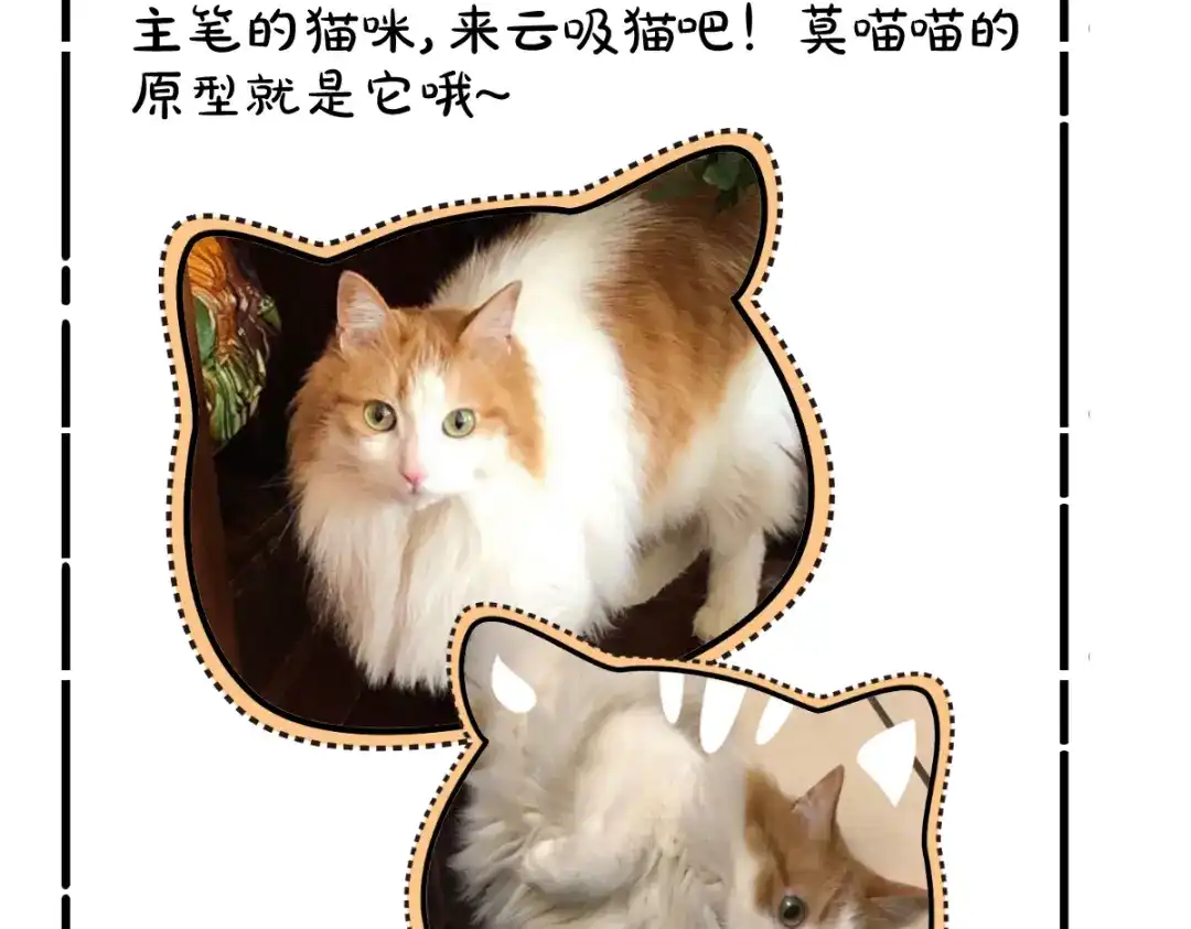 《杀手王妃不好惹》33-护驾 第78页