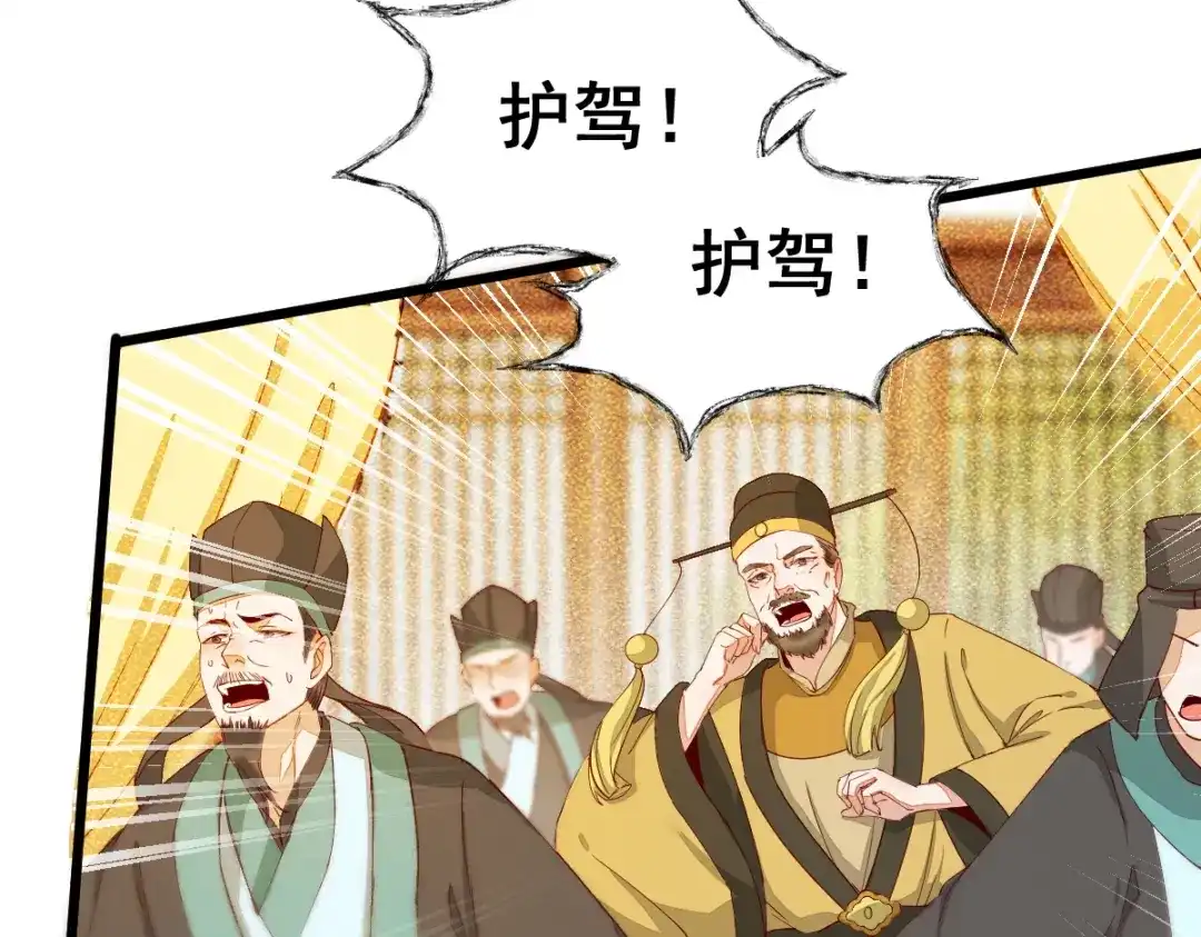 《杀手王妃不好惹》33-护驾 第16页