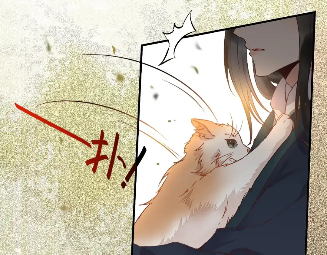 《杀手王妃不好惹》33-护驾 第64页